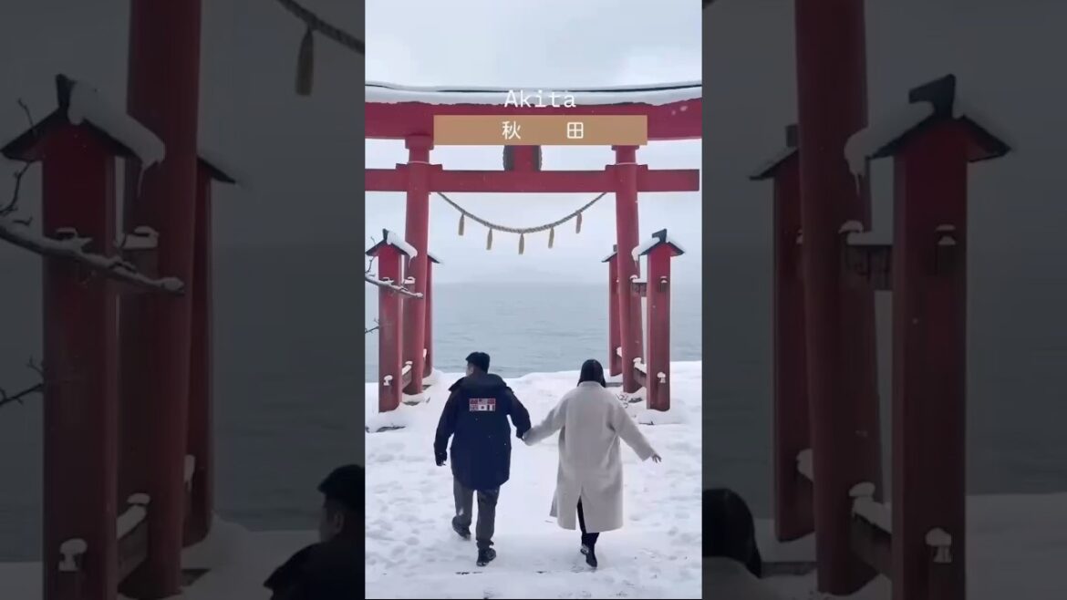 冬季浪漫 #秋田！相約另一半一起玩