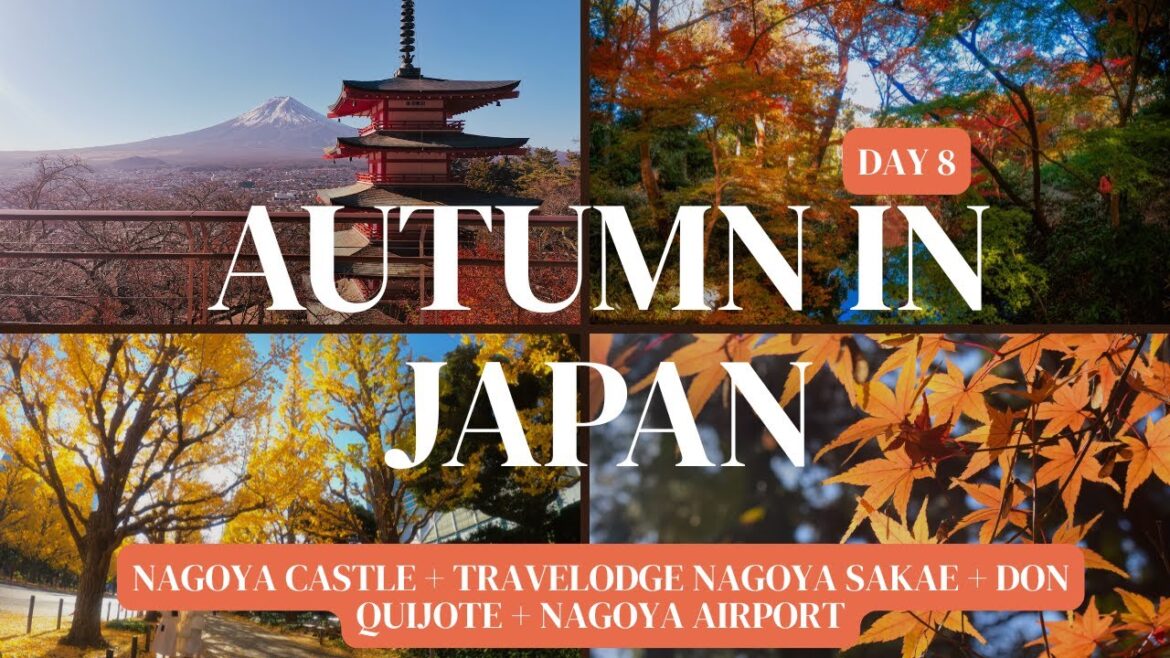 Japan Day 8 Nagoya Castle + Travelodge Nagoya Sakae + Don Quijote + Nagoya Airport Japan Day 8 Nagoya Castle + Travelodge Nagoya Sakae + Don Quijote + Nagoya Airport