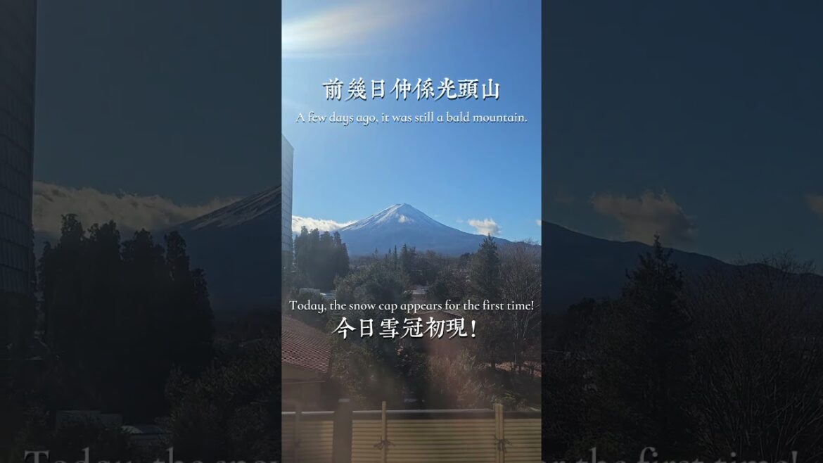 富士山下嘅溫泉之旅 – 丸榮旅館 #japan #trip 富士山下嘅溫泉之旅 - 丸榮旅館 #japan #trip