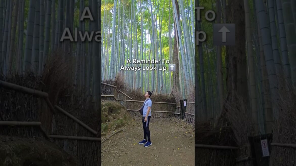 Reminder to look u⬆️ in the famous Arashiyama Bamboo forest 🎍 #japan #japantravel #japanlife #travel