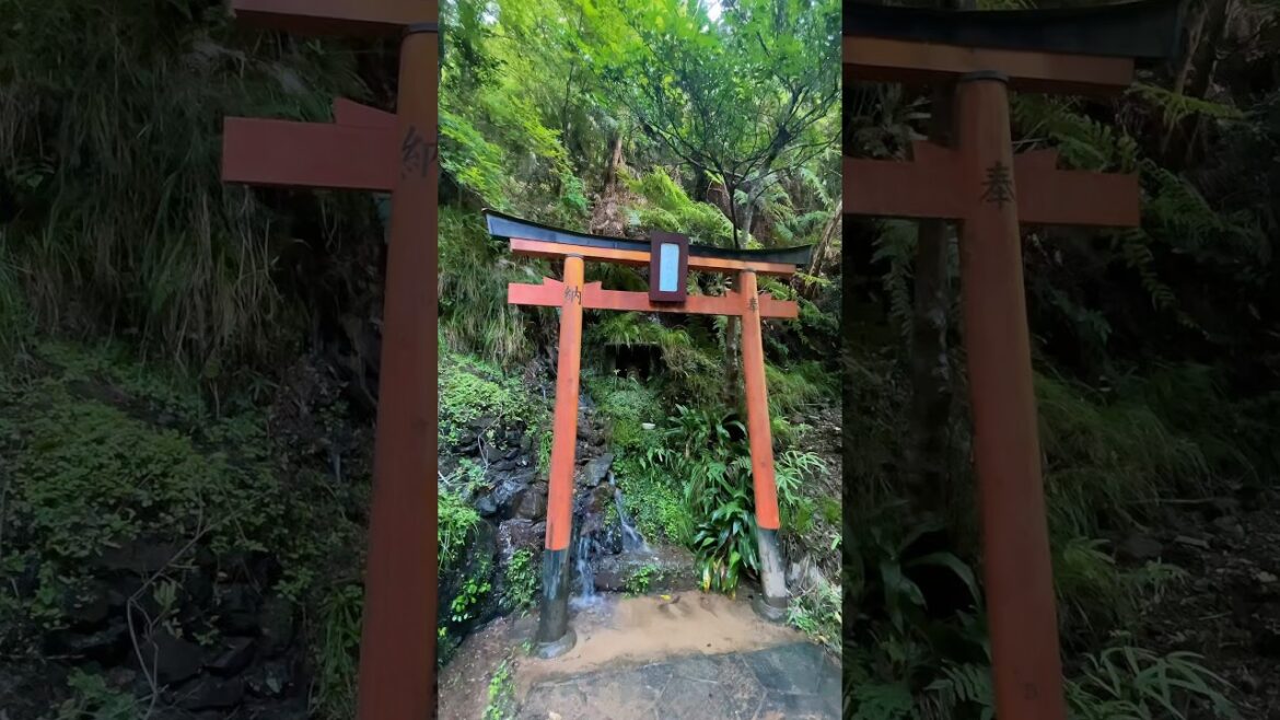 π Otagi Nenbutsu-ji, Kyoto. Check my Japan map & guide for more spots like this π―π΅ #japan π Otagi Nenbutsu-ji, Kyoto. Check my Japan map & guide for more spots like this π―π΅ #japan