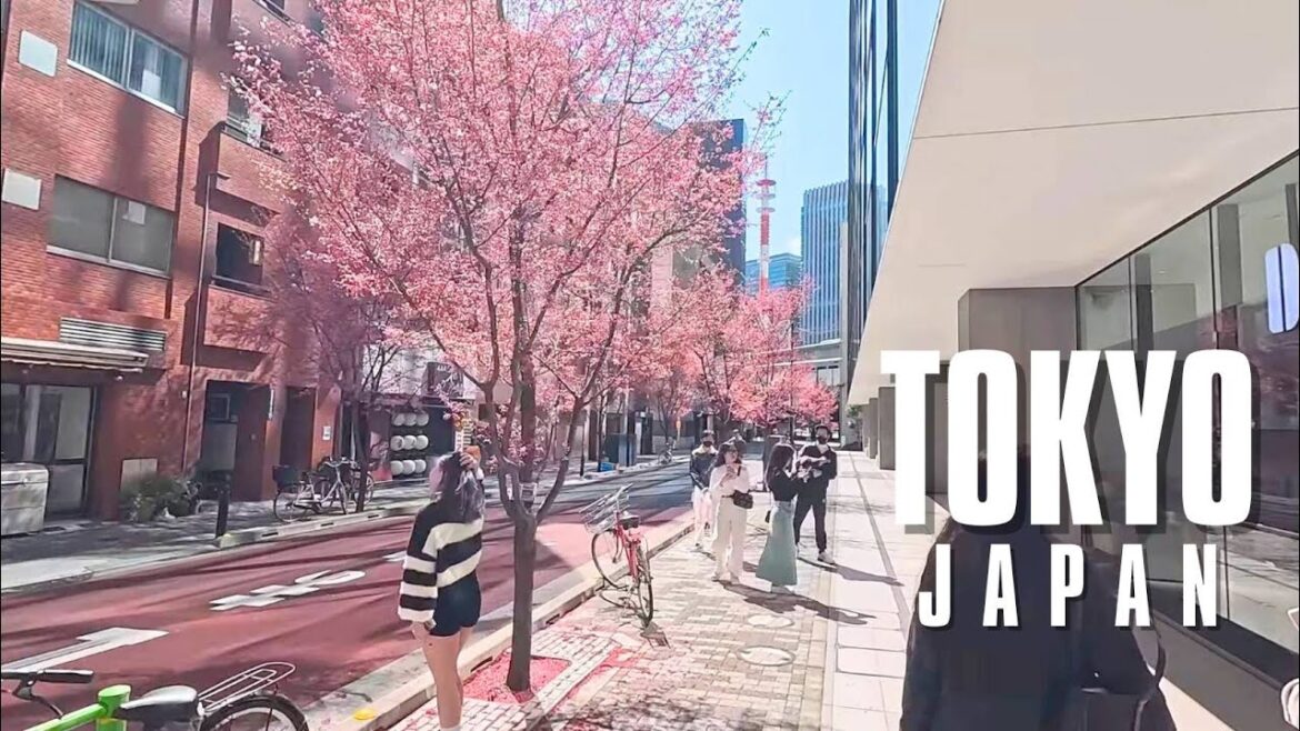 Japan walking tour in Tokyo Spring 2025 4K 60fps HDR