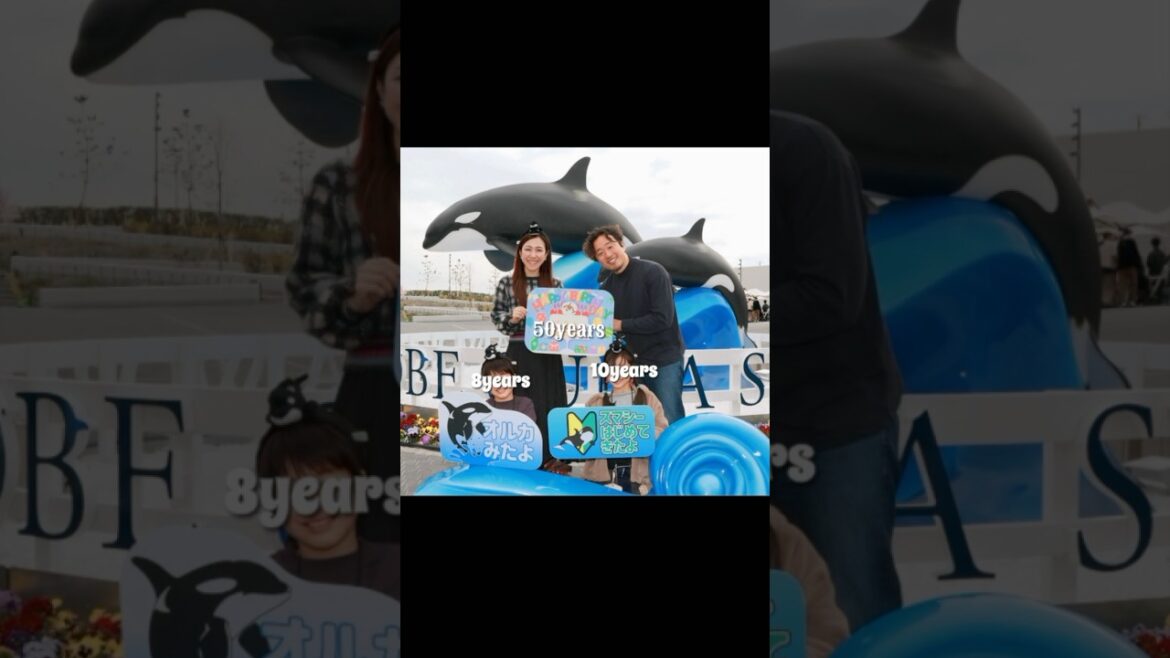Happy 50th BD to my Darling🎉 4/4 Kobe Suma Sea World 神戸須磨シーワールド Orca オルカ Dolphin イルカ  @ochikeron Happy 50th BD to my Darling🎉 4/4 Kobe Suma Sea World 神戸須磨シーワールド Orca オルカ Dolphin イルカ  @ochikeron
