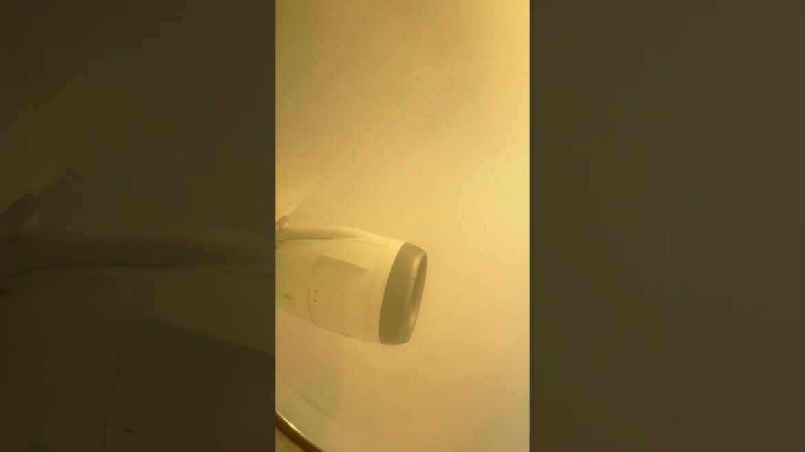 Final into Tokyo #787dreamliner #787 #japan #tokyo #windowseat #travel #vacation #landing