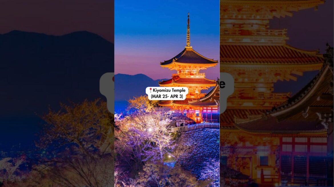 BEST Spots to See Sakura Cherry Blossoms in KYOTO🌸 #japan #kyoto #cherryblossom BEST Spots to See Sakura Cherry Blossoms in KYOTO🌸 #japan #kyoto #cherryblossom