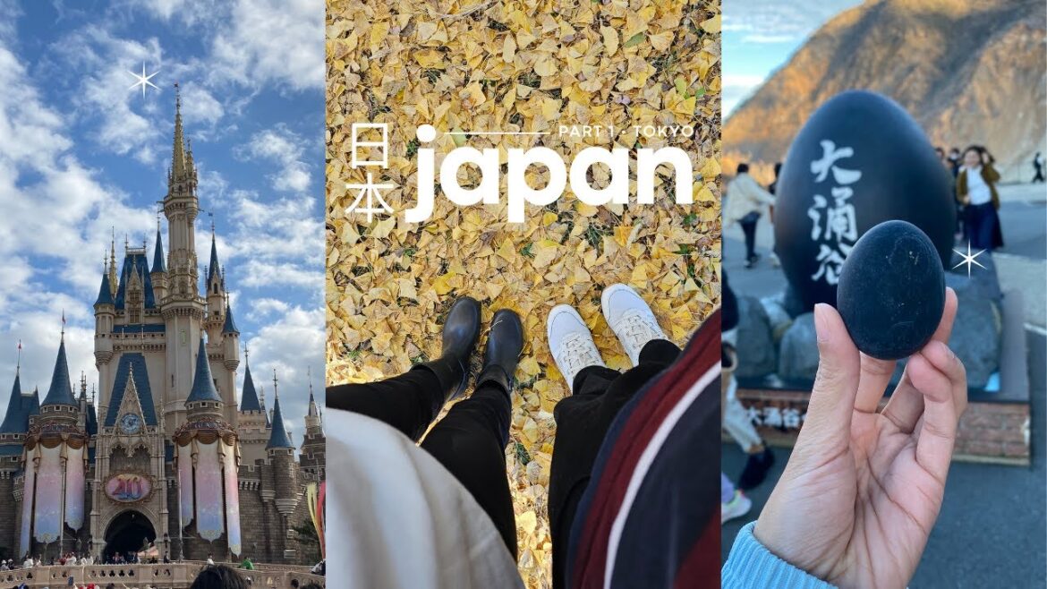 TRAVEL | Japan Trip Part 1 • Tokyo, Showa Kinen Park, Disneyland, teamLab Planets, Hakone, Owakudani TRAVEL | Japan Trip Part 1 • Tokyo, Showa Kinen Park, Disneyland, teamLab Planets, Hakone, Owakudani