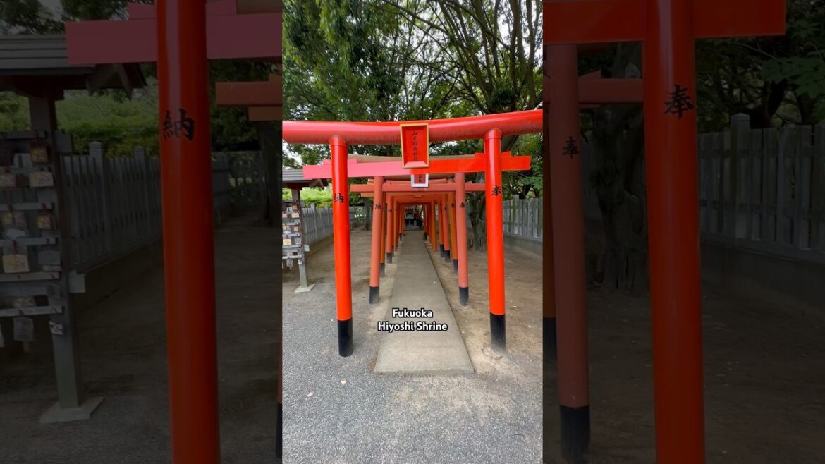 Hiyoshi Shrine - Fukuoka Kyushu 🇯🇵