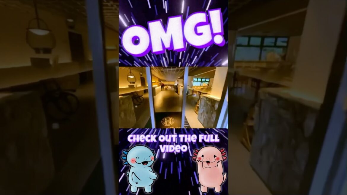 Tour A Japanese Hotel With Me #japan #kyoto #japanese #travel #travelblog