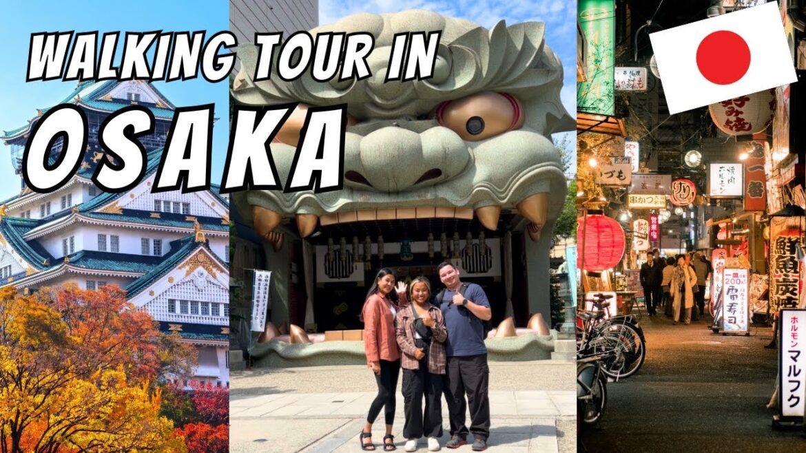Exploring OSAKA (Namba): Amazing Food and Sake Tour!
