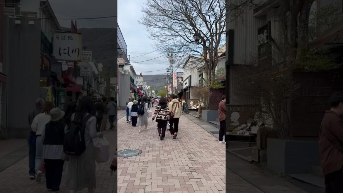 Vacation//Nagano ken#nagano#tokyo#shortsfeed#shortsvideo