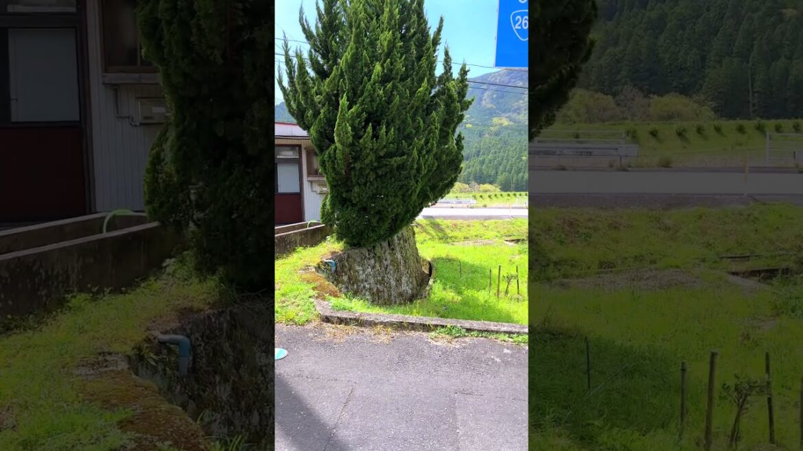 Japanese countryside: Ono in Fukagawa, Minamata City, Kumamoto Pref, Japan. #japaneselandscape