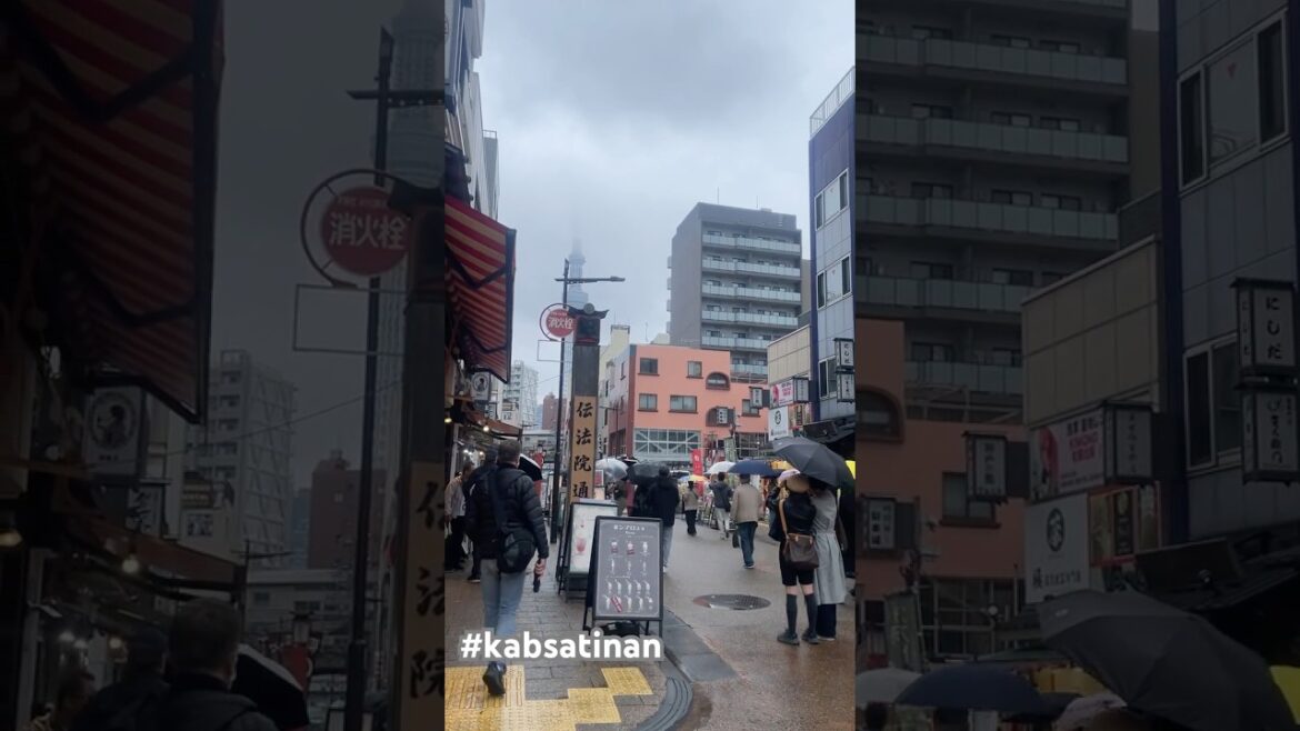 OVER LOOKING SKY TREE #explorejapan OVER LOOKING SKY TREE #explorejapan