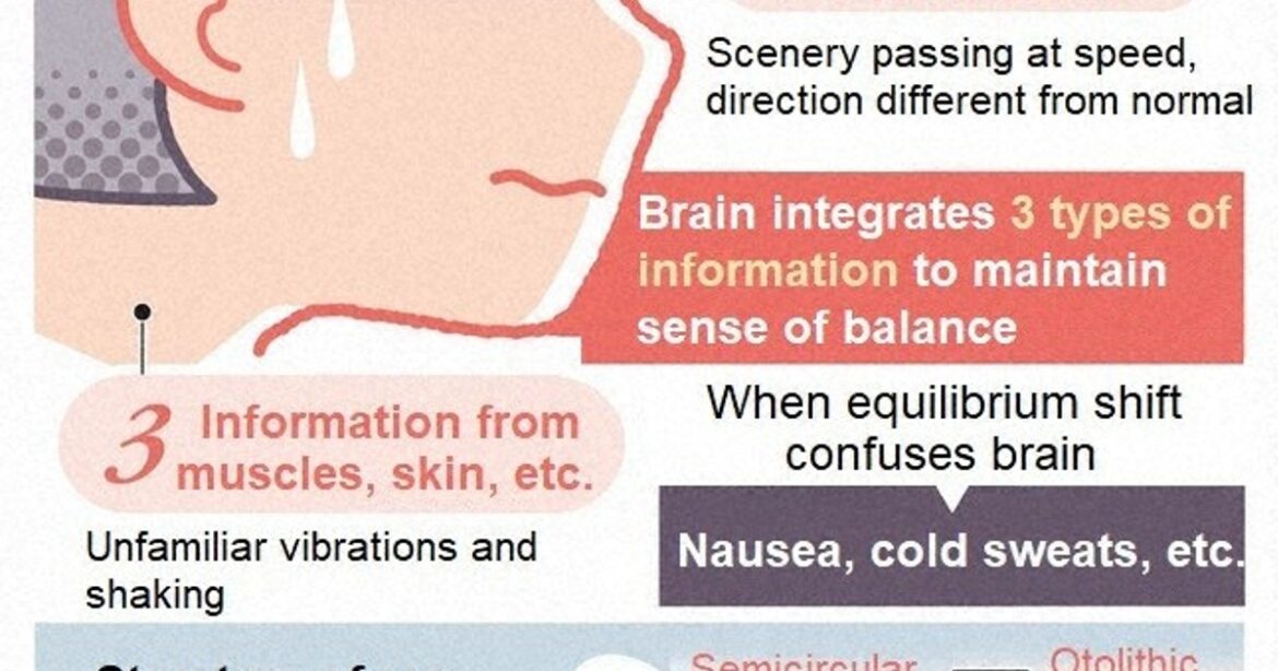 What causes motion sickness and how to avoid it: Japan expert shares travel season tips