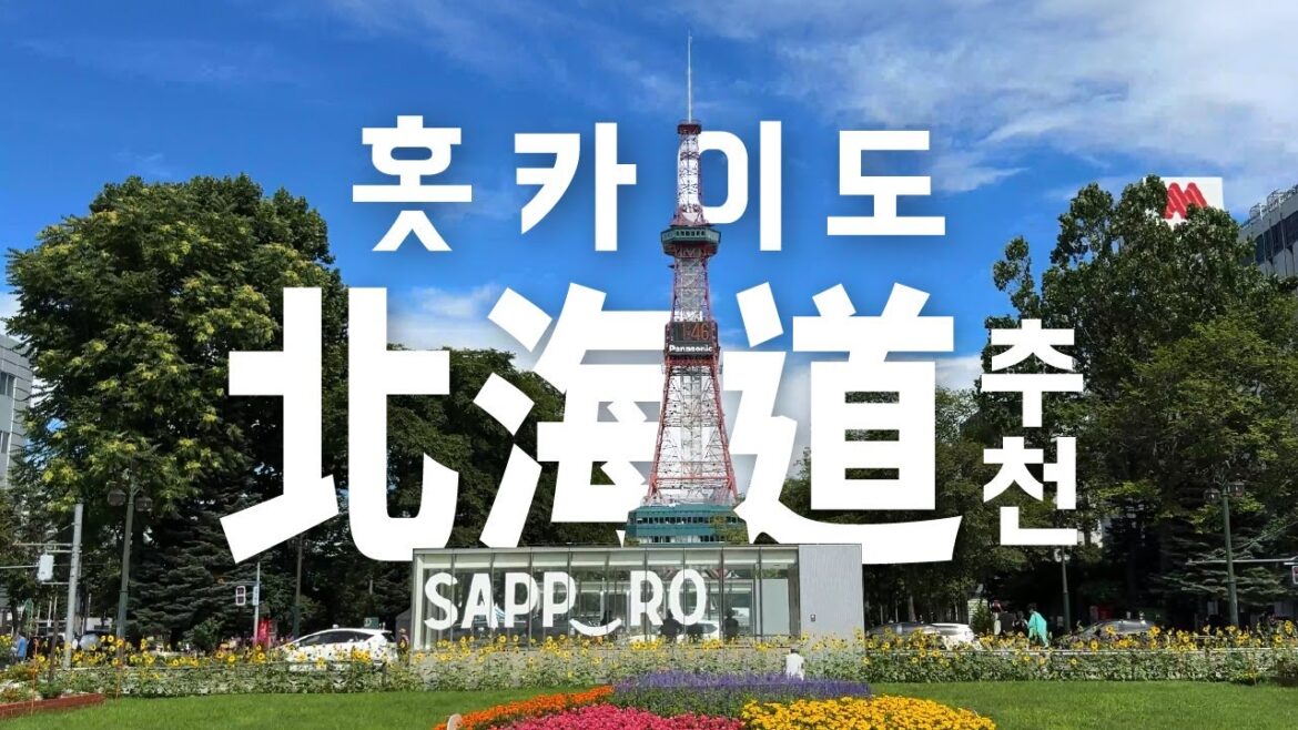 홋카이도 조이 패스 1 Week Free Pass