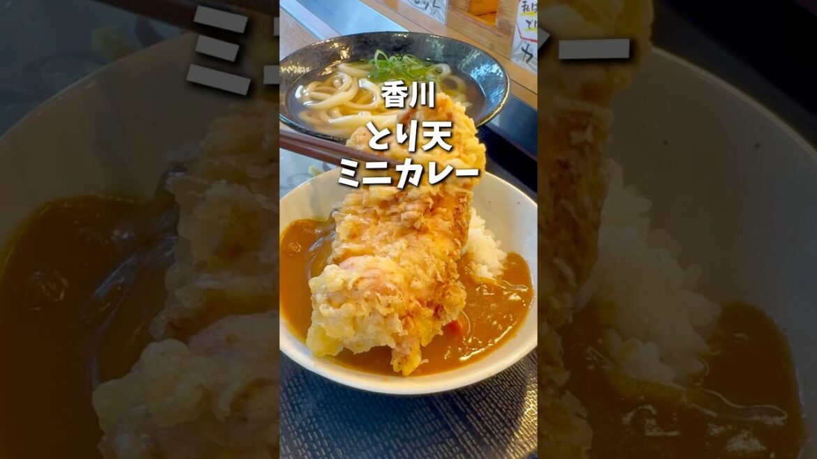 【香川グルメ】こだわり麺や丸亀田村店 #japanesefood