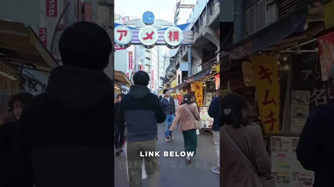 #tokyo #osaka #ohtani #kyoto #shibuya #ginza #onsen #shinjuku #soba #ramen #tokyotravel #japan