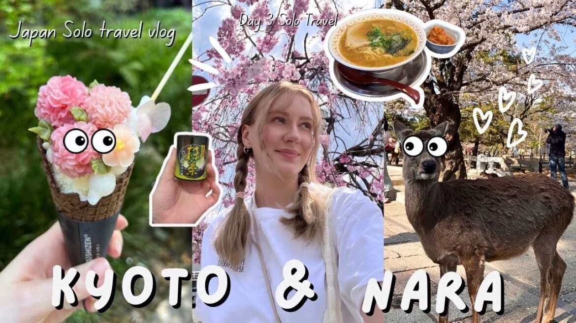 Osaka Vlog 🇯🇵 Kyoto & Nara Solo Travel + Japanese Grocery Haul Osaka Vlog 🇯🇵 Kyoto & Nara Solo Travel + Japanese Grocery Haul