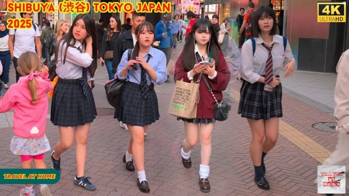 4K HDR Japan travel 2025 | Walk in Shibuya (渋谷) Tokyo Japan |  Relaxing Natural City ambience