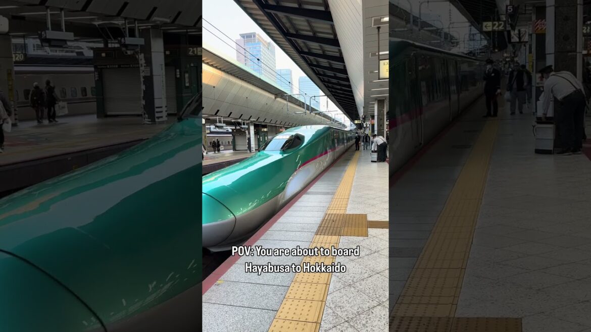 POV: You are about to board the fast & beautiful Hayabusa to Hakodate, Hokkaido π―π΅πΎ #shinkansen POV: You are about to board the fast & beautiful Hayabusa to Hakodate, Hokkaido π―π΅πΎ #shinkansen