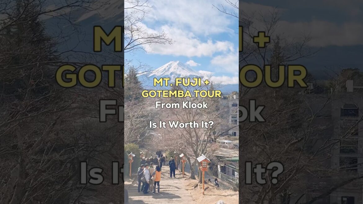 Mt. Fuji & Gotemba Day Tour from Tokyo with Klook | Winter Day Trip in Japan