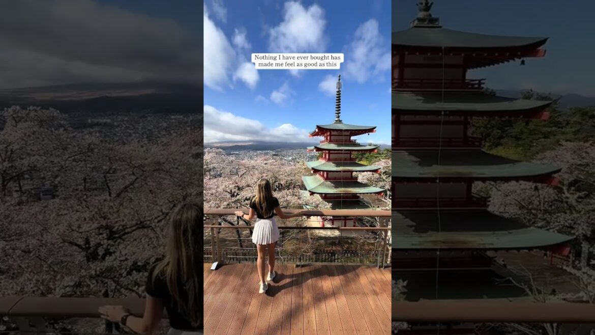 Welcome To The Best View In Japan!