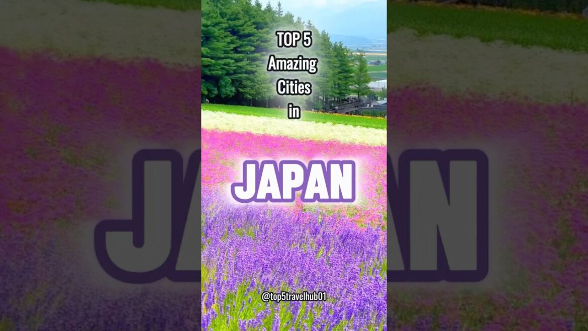 Top 5 Amazing Cities in JAPAN 🇯🇵🌏 #shorts #travel #japan Top 5 Amazing Cities in JAPAN 🇯🇵🌏 #shorts #travel #japan