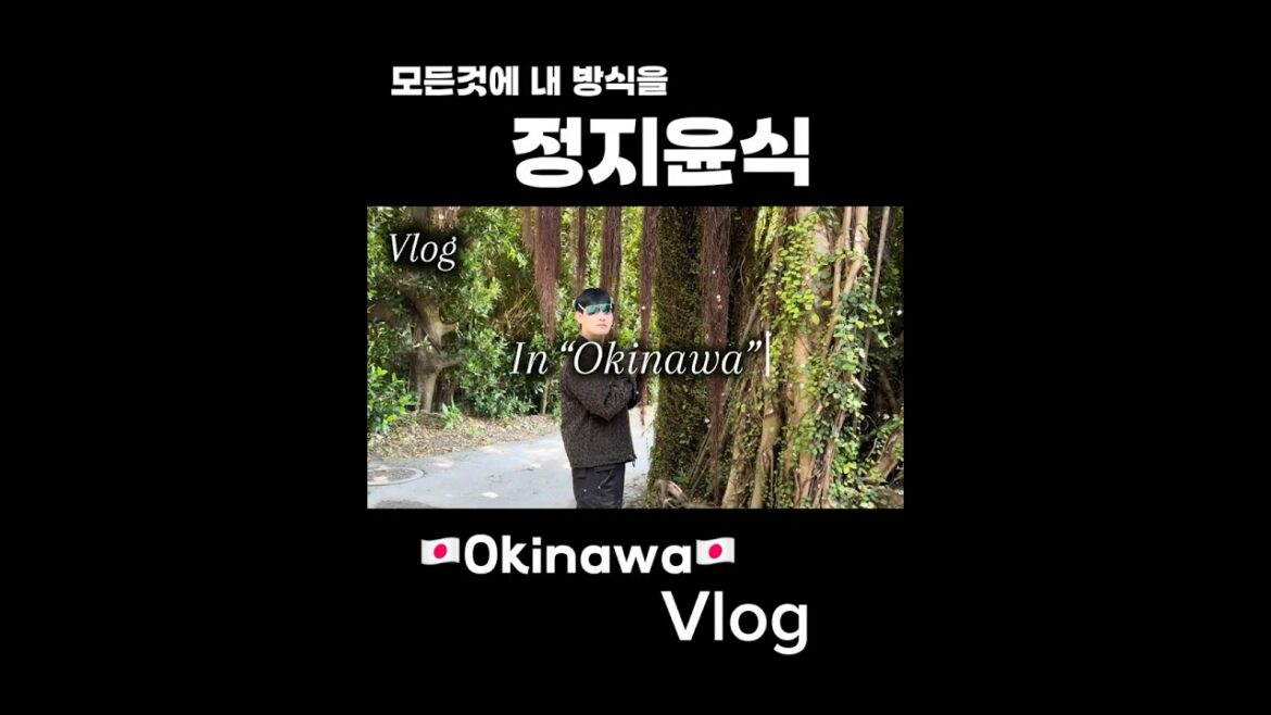 정지윤식 Vlog 🇯🇵Okinawa🇯🇵
