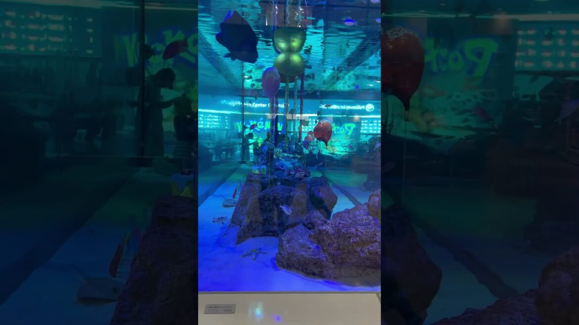 Rycom Aquarium #okinawa #japan #aquarium #shorts #travel