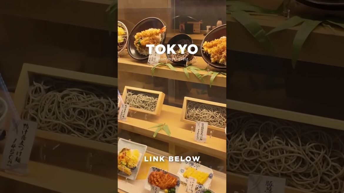 #tokyo #osaka #ohtani #kyoto #shibuya #ginza #onsen #shinjuku #soba #ramen #tokyotravel #japan