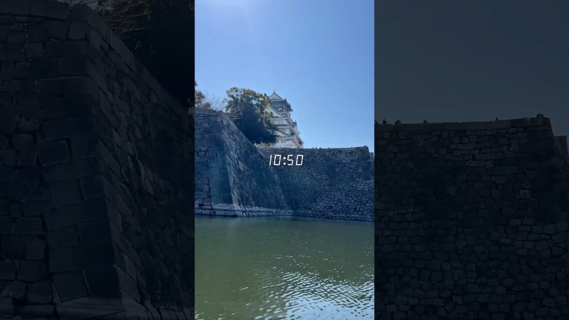 Day 2 of 15 in #Japan