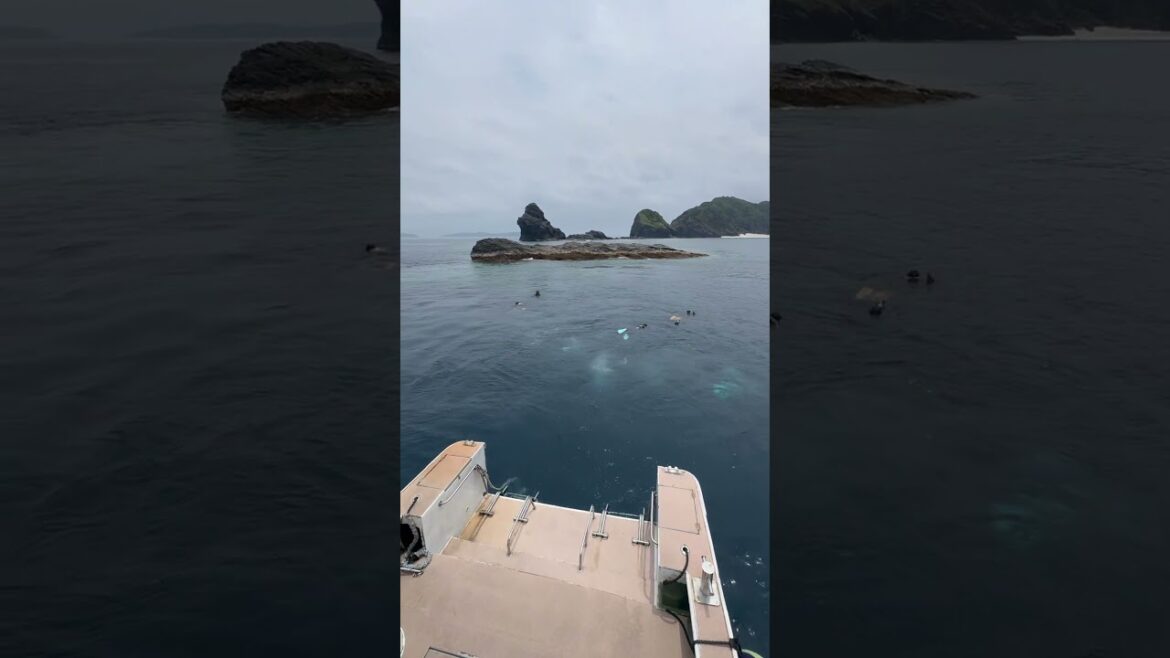 ドリフトダイビング沖縄・ディーズパルス沖縄 ドリフトダイビング沖縄・ディーズパルス沖縄