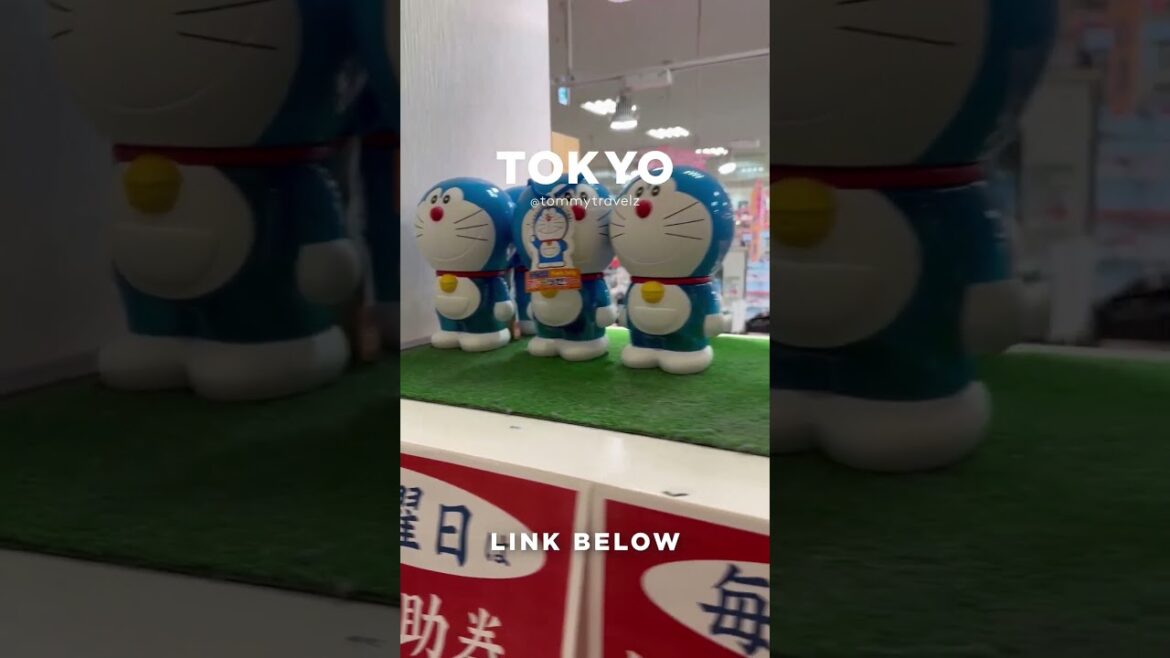 #tokyo #osaka #ohtani #kyoto #shibuya #ginza #onsen #shinjuku #soba #ramen #tokyotravel #japan