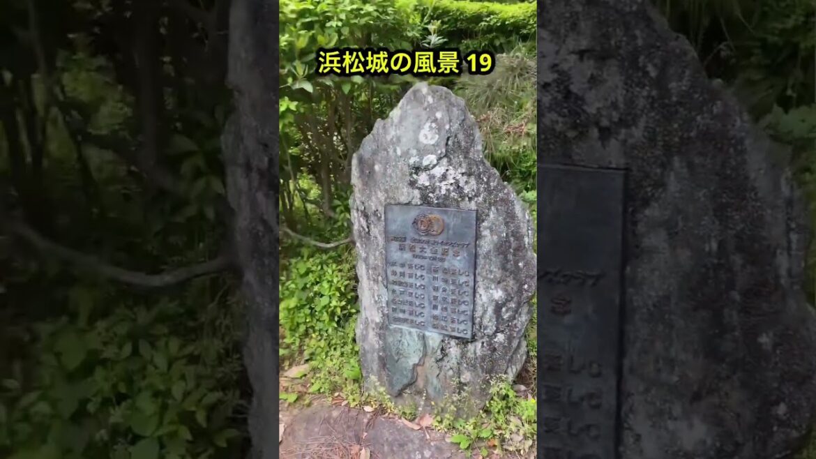 浜松城の景色19 #浜松城 #旅行 #hamamatsucastle #日本