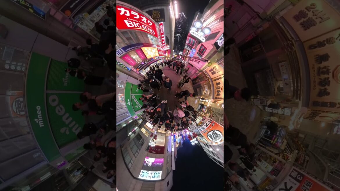 Shibuya Night Wandering