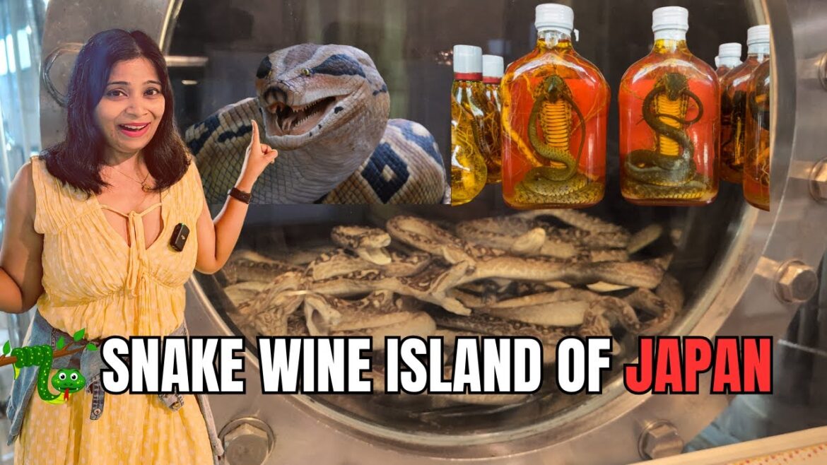 Poisonous SNAKE Drink of JAPAN 🇯🇵 | Would you DARE to Drink
