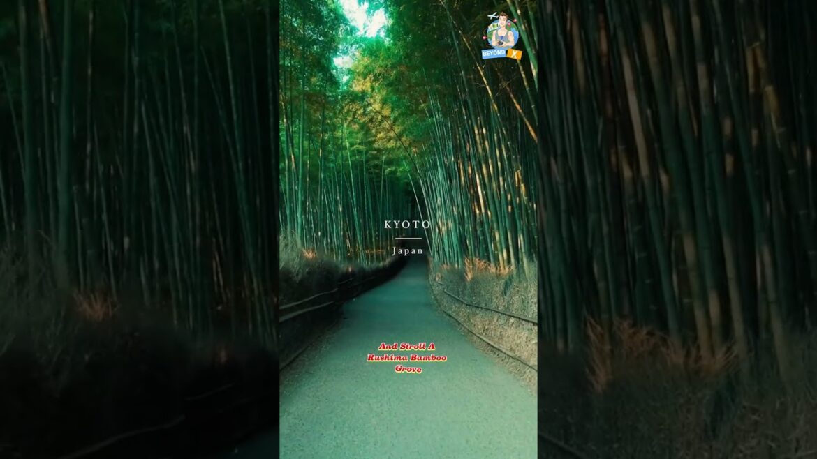 Kyoto – The Cultural Heart of Japan 🇯🇵 | A Must-Visit Destination! ✨ #travelshorts