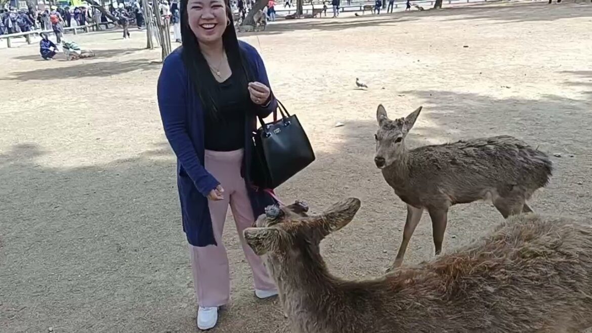 Nara Day Trip from Osaka 🇯🇵 | Feeding Deer at Nara Park & Exploring Japan’s Oldest Temples Nara Day Trip from Osaka 🇯🇵 | Feeding Deer at Nara Park & Exploring Japan’s Oldest Temples