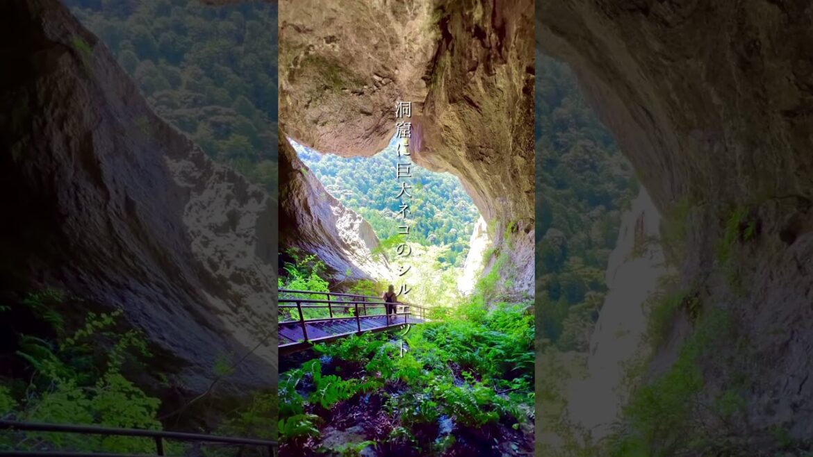 ＧＷにおすすめ愛知の絶景スポット3選