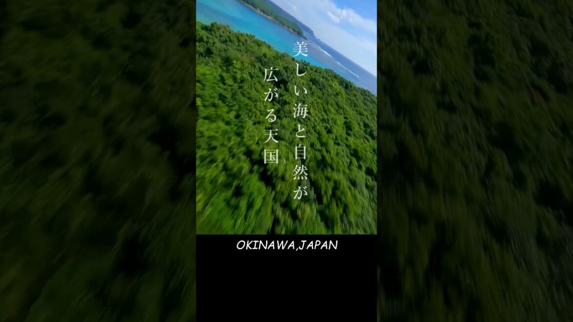 Discover Okinawa in FPV — Japan's Tropical Escape | File.7 #fpv #djifpv #okinawa