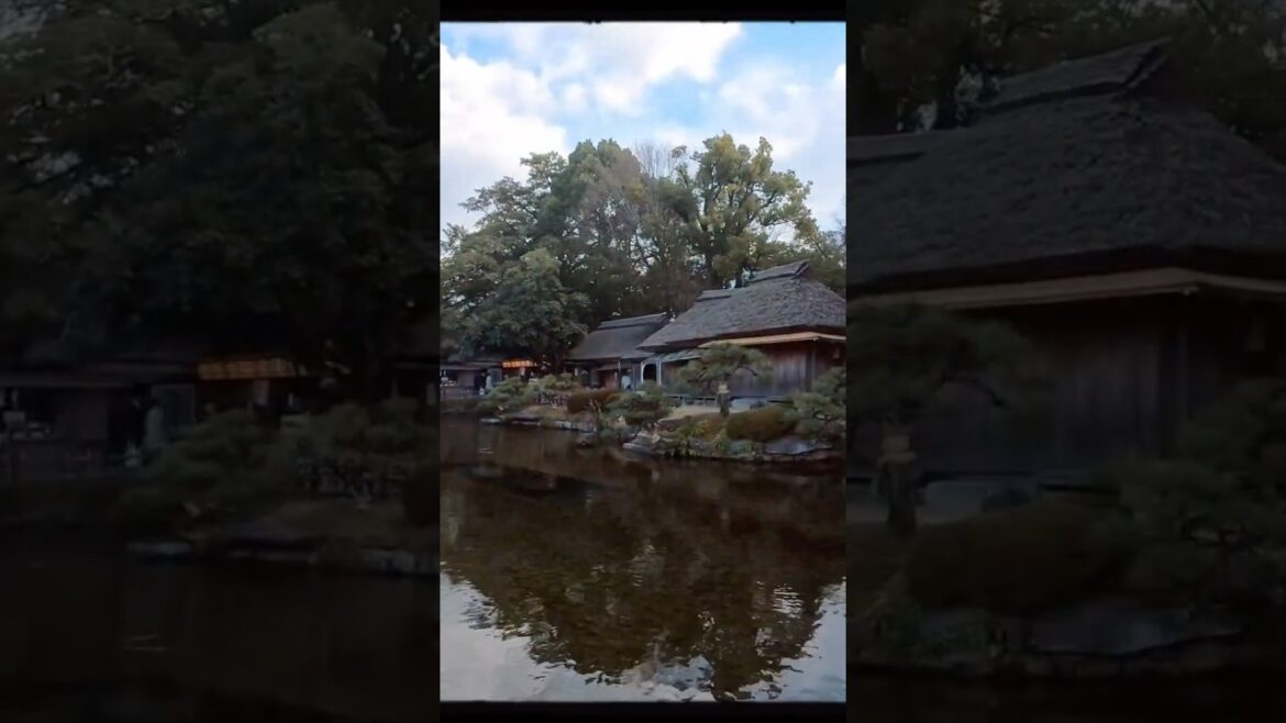 Okayama Korakuen, one of Japan's three most famous gardens #japan #okayama #garden #岡山 #後楽園 #日本三名園