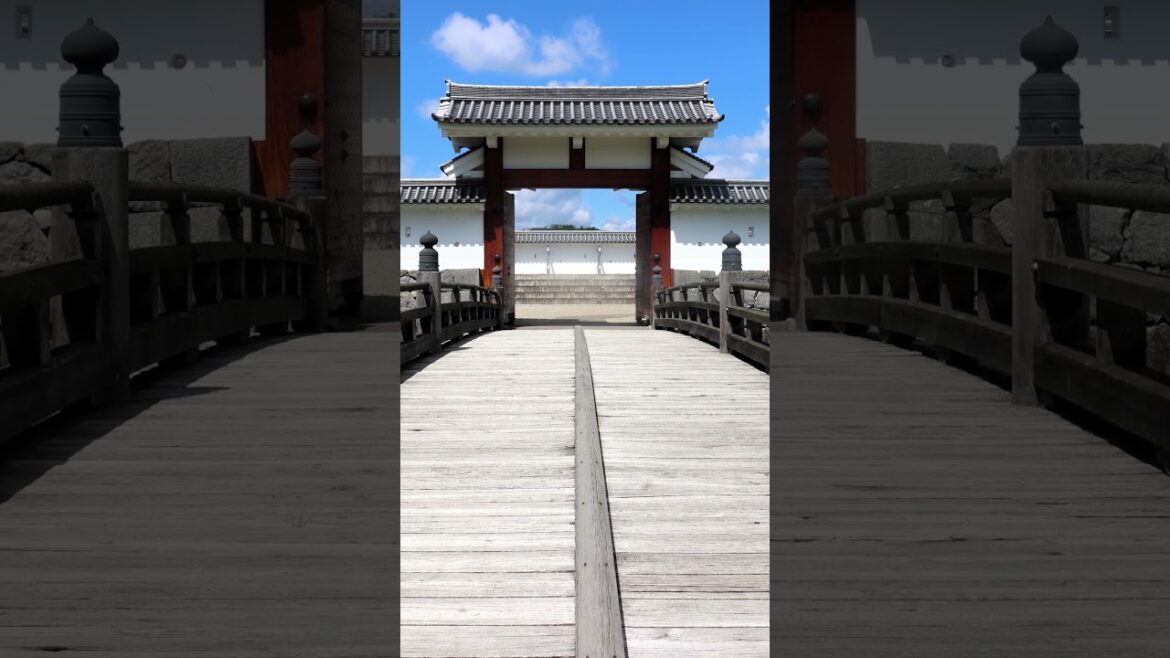 Yamagata Castle – The Forgotten Samurai Stronghold #castle #samurai #japan #travelshorts #yamagata