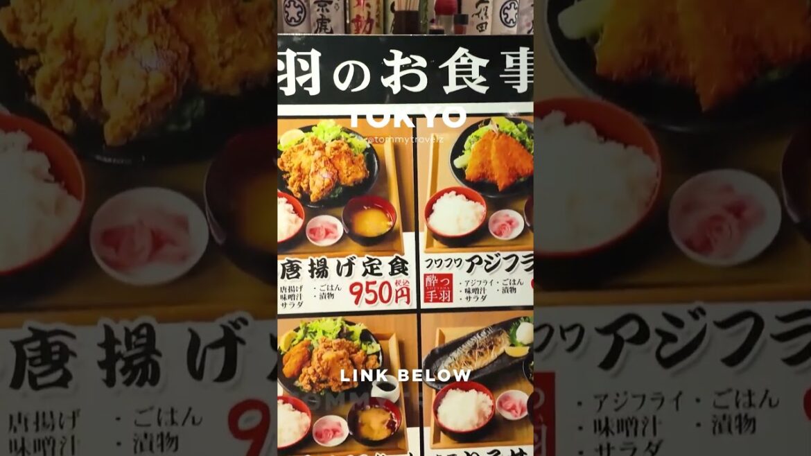 #tokyo #osaka #ohtani #kyoto #shibuya #ginza #onsen #shinjuku #soba #ramen #tokyotravel #japan