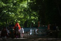 Mounted archers and others proceed along a path at Shimogamo Shrine in Kyoto's Sakyo Ward during the 