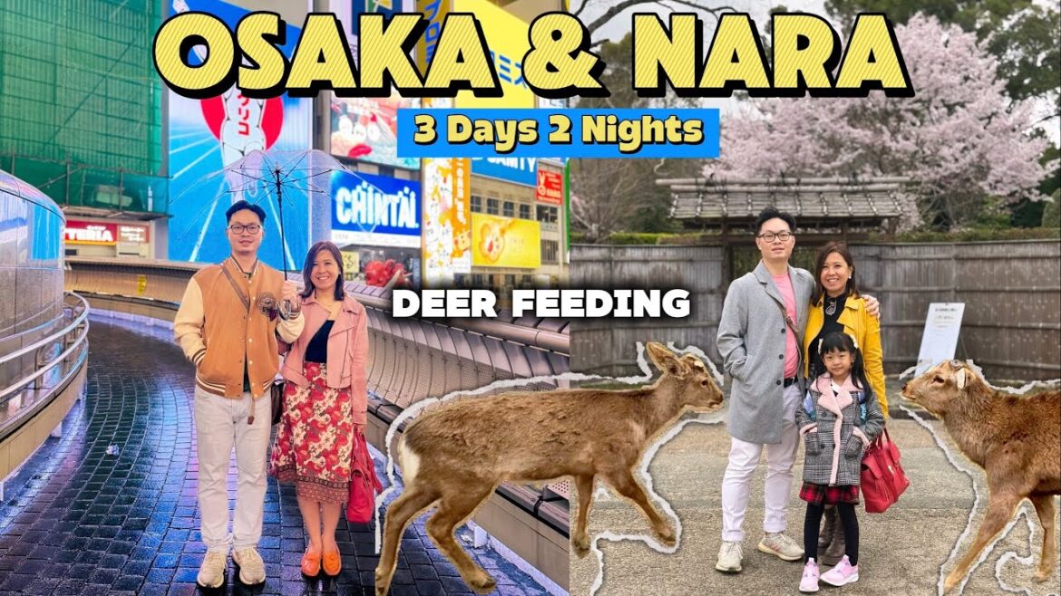 3 HARI di OSAKA & NARA | Rusa Menunduk & Explore Dotombori