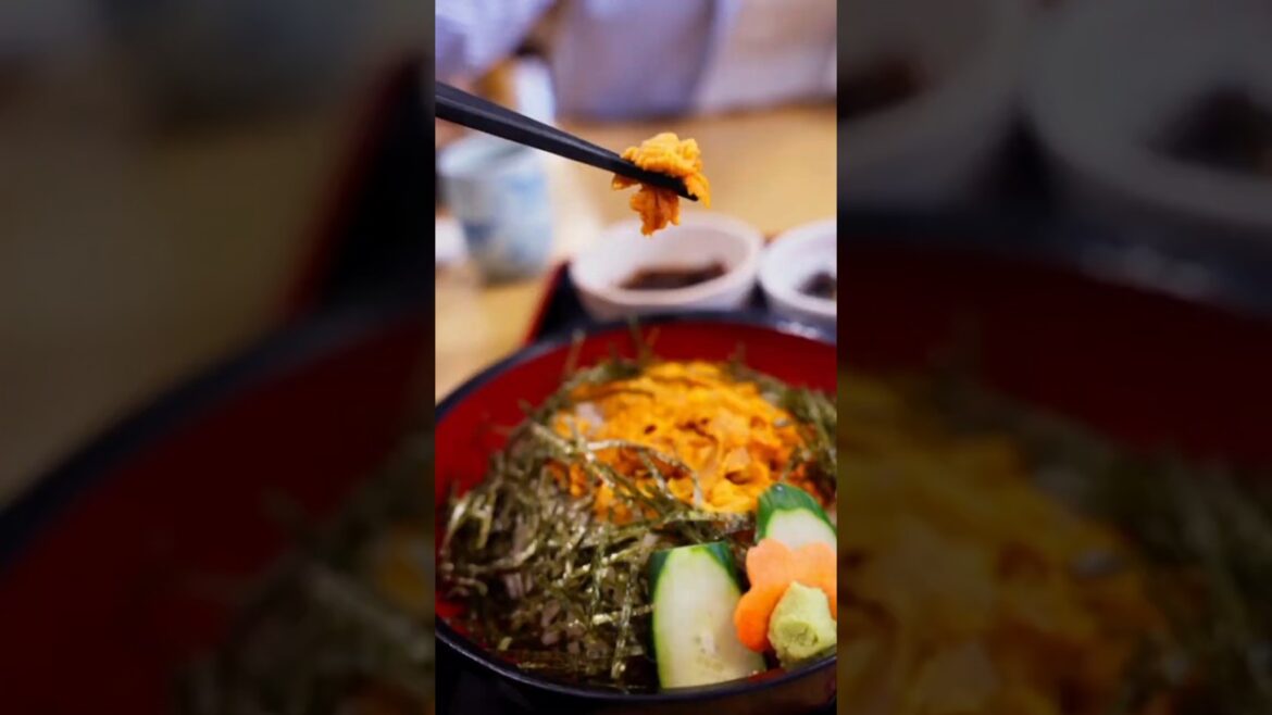 Sea Urchin Festival & Sweet Shrimp Season in Akune City, Japan! Sea Urchin Festival & Sweet Shrimp Season in Akune City, Japan!