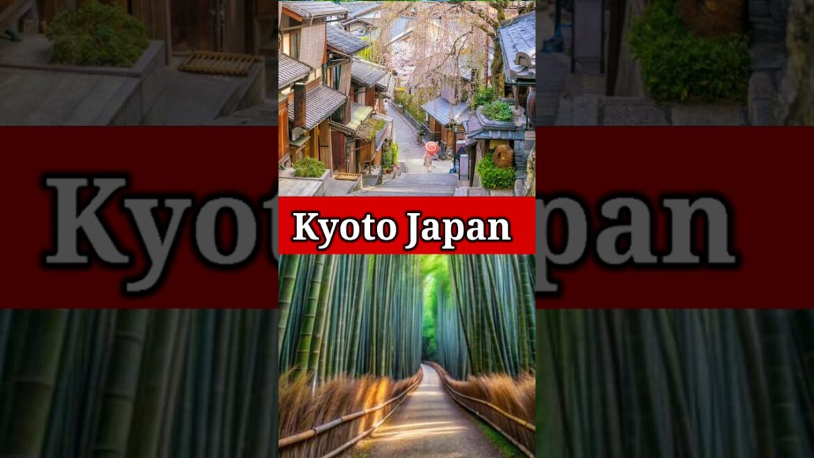 Kyoto’s Hidden Gems|| Must-Visit Spots in Japan 🇯🇵 #traveldestinations #travel #travelguide #shorts Kyoto's Hidden Gems|| Must-Visit Spots in Japan 🇯🇵 #traveldestinations #travel #travelguide #shorts