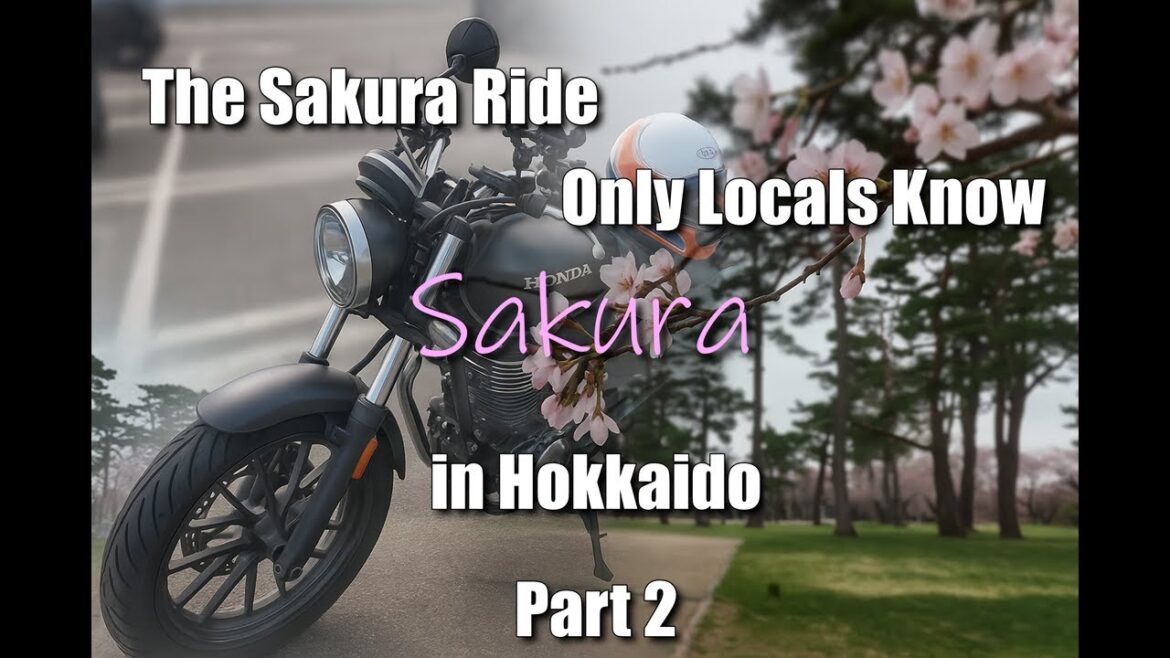 Cherry Blossom Ride Around Hakodate – First Look at Spring’s Best Views Cherry Blossom Ride Around Hakodate – First Look at Spring’s Best Views