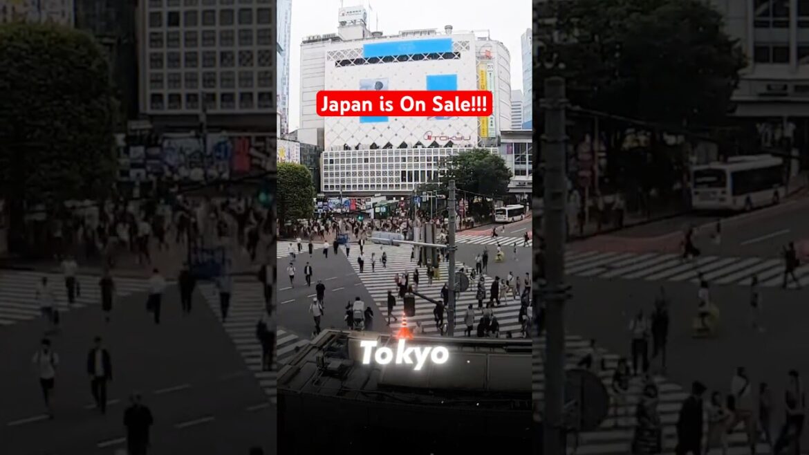 Japan Travel Discounts: How to Save $$$ (2024) 🇯🇵 | #visitjapan #japantravel #japan