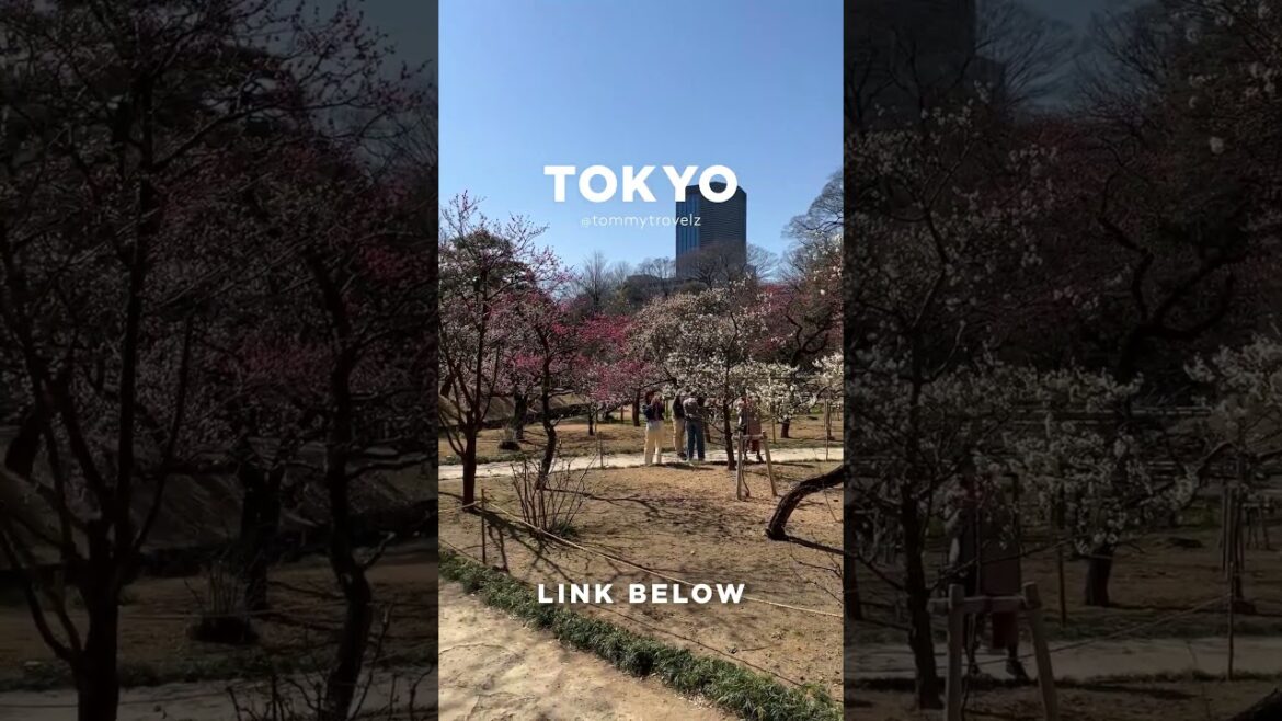 #tokyo #osaka #ohtani #kyoto #shibuya #ginza #onsen #shinjuku #soba #ramen #tokyotravel #japan