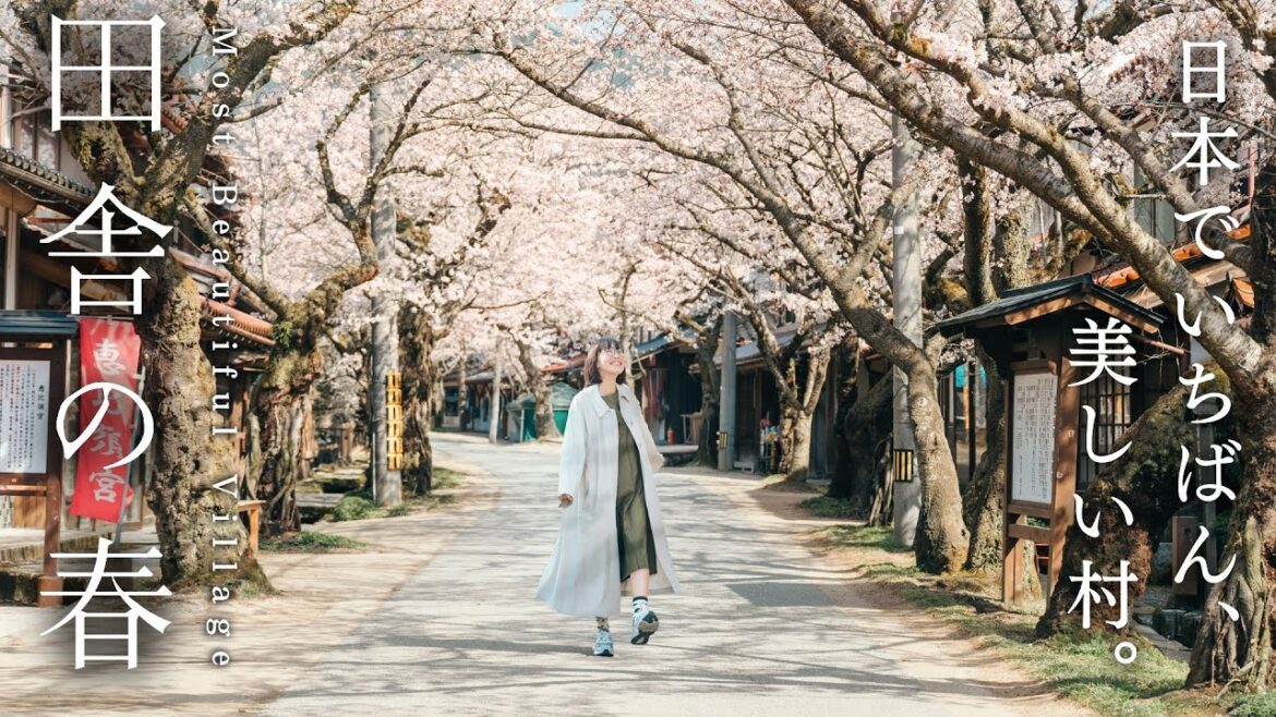 日本で最も美しい村へ🌸出雲街道を巡り岡山県を旅しよう｜新庄村｜美甘宿｜津山｜勝山